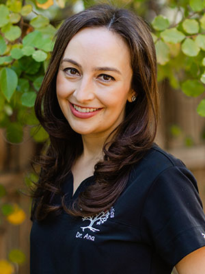Ana-homepage2