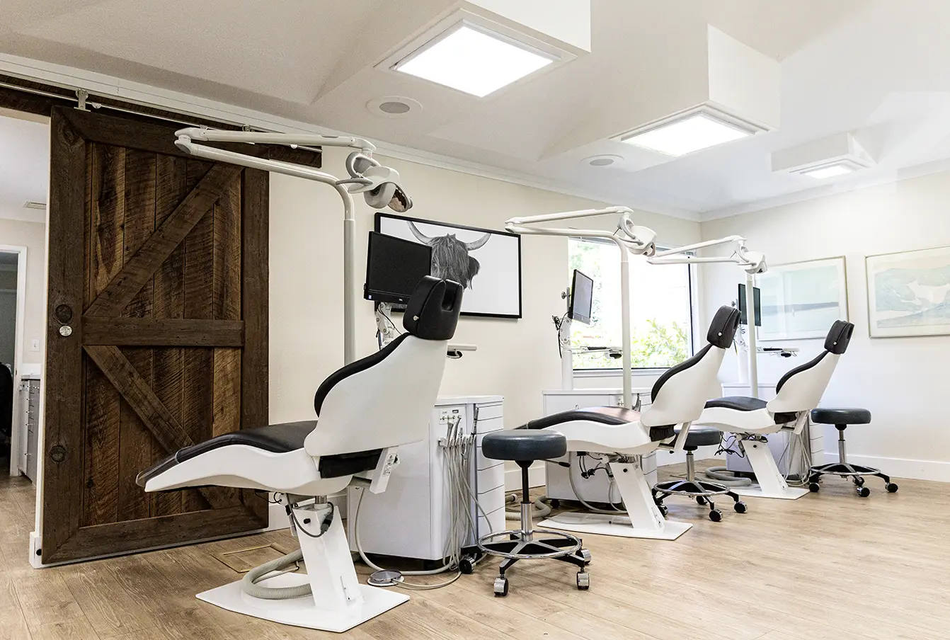 NovatoOffice1